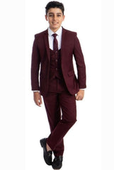 Designer Boys Suit - Burgundy Kids Suit - Children Suit